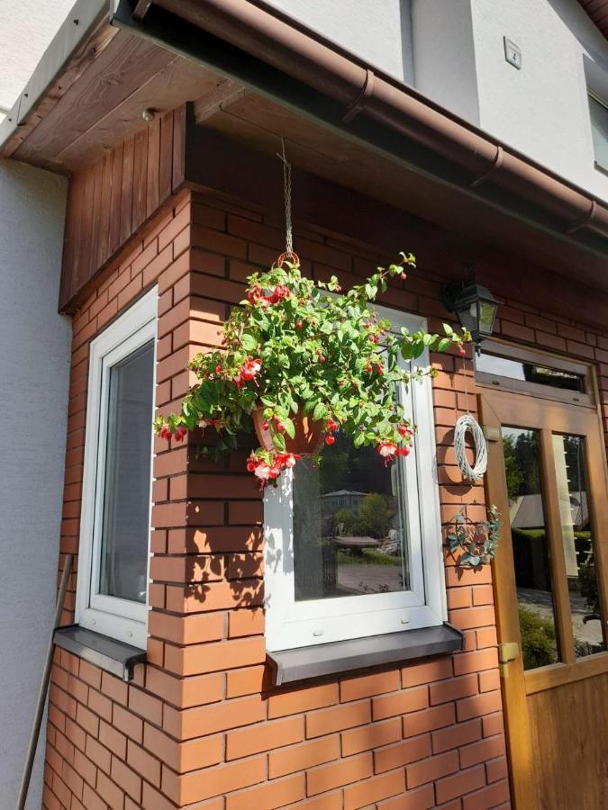 Agroturystyka Stokrotka Rymanów-Zdrój Dış mekan fotoğraf
