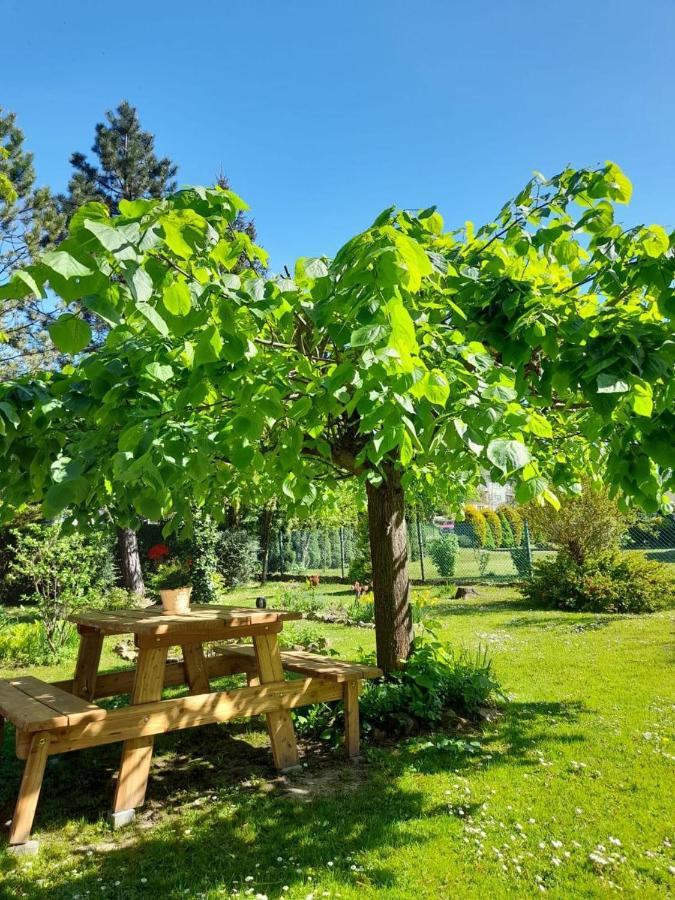 Agroturystyka Stokrotka Rymanów-Zdrój Dış mekan fotoğraf