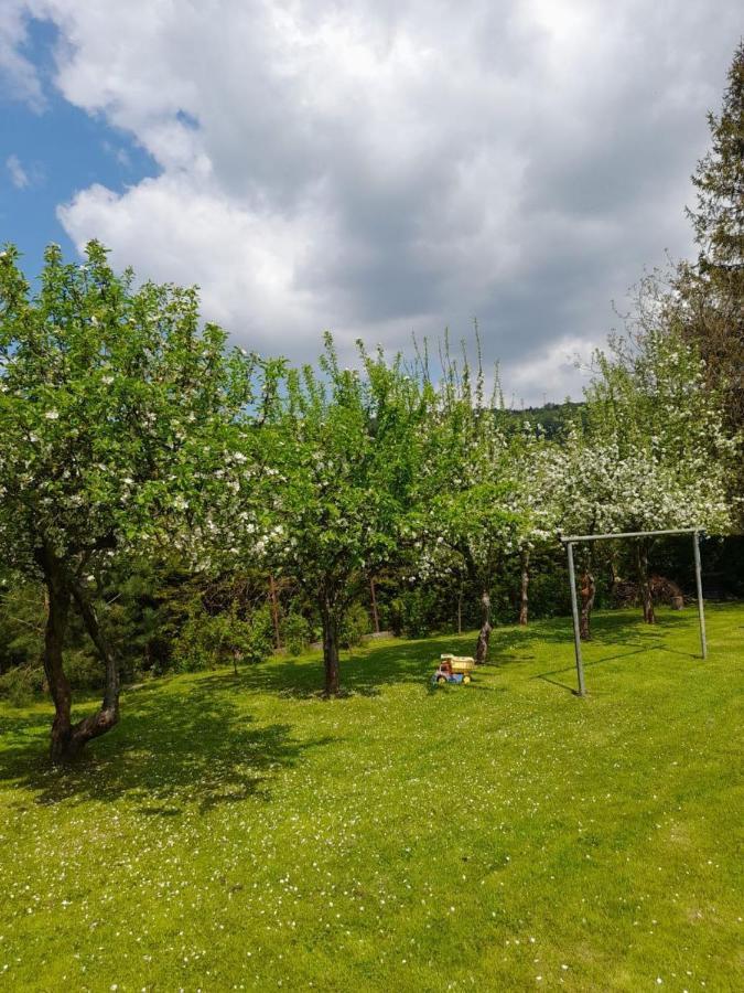 Agroturystyka Stokrotka Rymanów-Zdrój Dış mekan fotoğraf